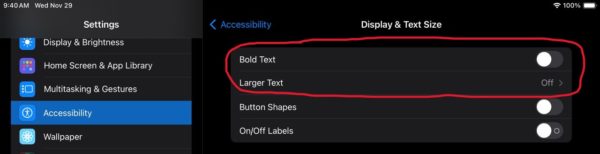 iPad ACCESSIBILITY Display Menu