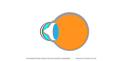 Scleral Diagram